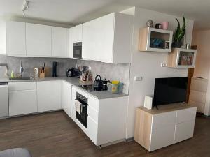 Pronájem bytu 2+kk, Hradec Králové, Uhelná, 53 m2