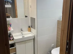 Pronájem bytu 2+kk, Hradec Králové, Uhelná, 53 m2