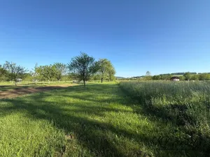 Prodej zahrady, Záhorovice, 1297 m2
