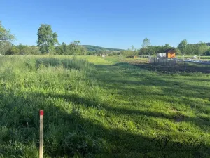 Prodej zahrady, Záhorovice, 1297 m2