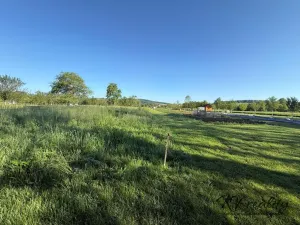 Prodej zahrady, Záhorovice, 1297 m2