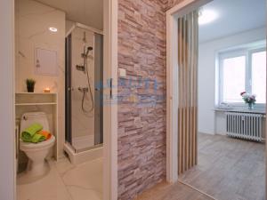 Pronájem bytu 1+1, Lovosice, U Nadjezdu, 31 m2