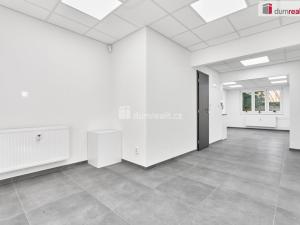 Prodej obchodního prostoru, Chodov, Revoluční, 35 m2