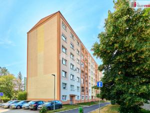 Prodej obchodního prostoru, Chodov, Revoluční, 35 m2