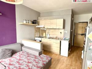 Pronájem bytu 1+1, Ústí nad Labem - Severní Terasa, Kmochova, 36 m2