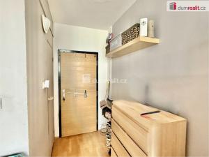 Pronájem bytu 1+1, Ústí nad Labem - Severní Terasa, Kmochova, 36 m2