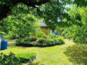 Prodej chaty, Červený Kostelec, Chrby, 50 m2