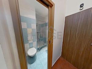 Prodej bytu 1+kk, Brandýs nad Labem-Stará Boleslav, Královická, 24 m2