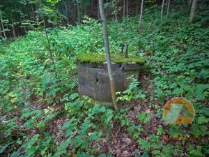 Prodej zemědělské usedlosti, Stružinec, 113 m2