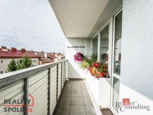 Prodej bytu 3+kk, Pardubice - Zelené Předměstí, Palackého třída, 63 m2