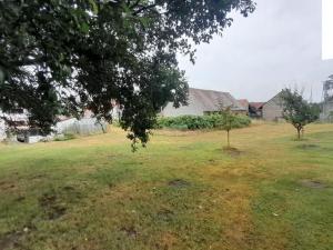 Prodej rodinného domu, Moravany - Turov, 550 m2
