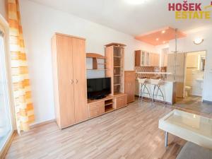 Prodej bytu 1+kk, Brno, Zlínská, 30 m2
