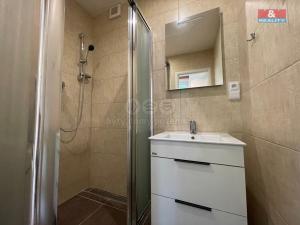 Pronájem bytu 2+1, Mokrá-Horákov - Mokrá, 58 m2