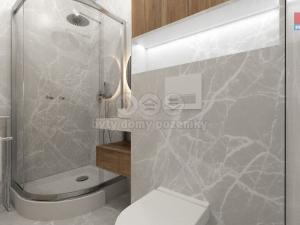 Prodej bytu 1+kk, Broumov - Olivětín, Dukelská, 29 m2