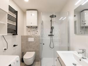 Pronájem bytu 1+1, Praha - Smíchov, Lidická, 39 m2