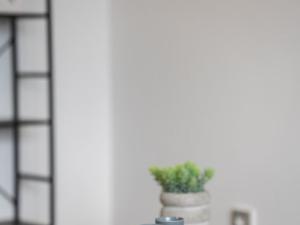 Prodej bytu 2+kk, Žacléř, Rýchorské náměstí, 37 m2