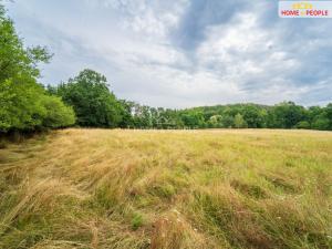Prodej pozemku pro bydlení, Vrchotovy Janovice - Manělovice, 1574 m2