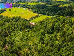 Prodej lesa, Písek, 12430 m2