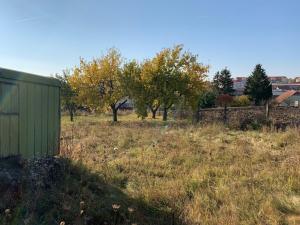 Prodej pozemku pro bydlení, Holubice, 2099 m2