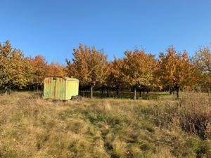 Prodej pozemku pro bydlení, Holubice, 2099 m2
