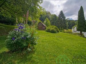 Prodej rodinného domu, Javorník - Travná, 75 m2