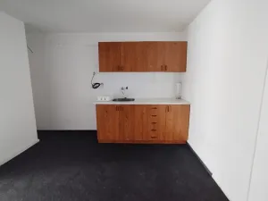 Pronájem obchodního prostoru, Hradec Králové, Střelecká, 185 m2