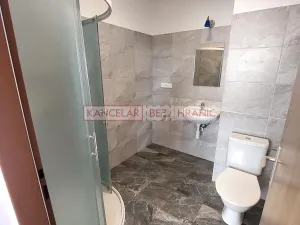 Pronájem bytu 1+kk, Vážany, 29 m2