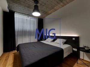 Pronájem bytu 2+kk, Brno, Cejl, 57 m2