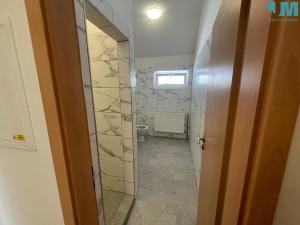 Pronájem bytu 2+kk, Těšany, 55 m2