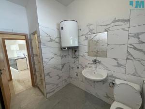 Pronájem bytu 2+kk, Těšany, 55 m2