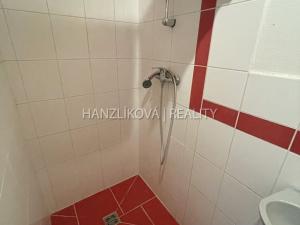 Pronájem bytu 1+kk, České Budějovice - České Budějovice 1, Krajinská, 18 m2