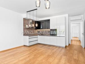 Pronájem bytu 3+kk, České Budějovice - České Budějovice 2, Branišovská, 75 m2