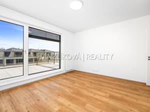 Pronájem bytu 3+kk, České Budějovice - České Budějovice 2, Branišovská, 75 m2