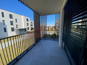 Pronájem bytu 2+kk, Olomouc - Nová Ulice, 54 m2