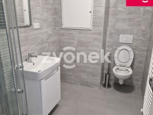 Pronájem bytu 1+kk, Uherské Hradiště, 30 m2