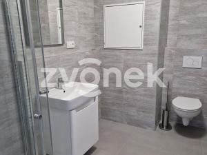 Pronájem bytu 1+kk, Uherské Hradiště, 30 m2