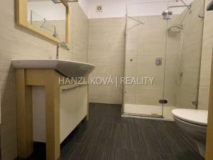 Pronájem bytu 2+kk, Hluboká nad Vltavou, Třeboňská, 49 m2