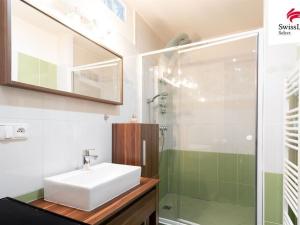 Pronájem bytu 1+1, Praha - Žižkov, Pod lipami, 37 m2