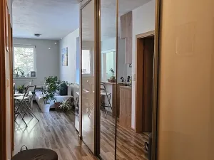 Pronájem bytu 1+kk, Český Těšín, Tovární, 40 m2
