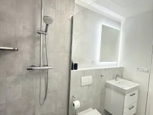 Pronájem bytu 2+kk, Plzeň, Truhlářská, 64 m2