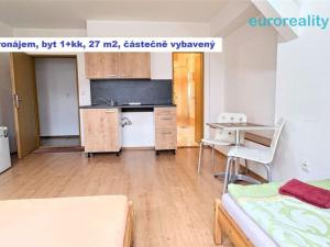 Pronájem bytu 1+kk, Plzeň, Lindauerova, 25 m2