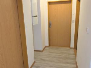 Pronájem bytu 1+kk, Plzeň, Lindauerova, 25 m2
