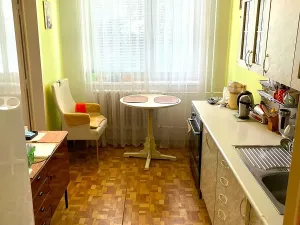 Prodej bytu 1+1, Brno, Ukrajinská, 47 m2