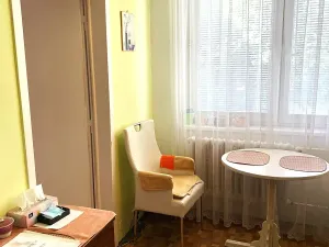 Prodej bytu 1+1, Brno, Ukrajinská, 47 m2