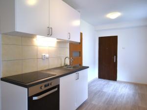 Prodej bytu 1+kk, Zvěstov - Roudný, 27 m2