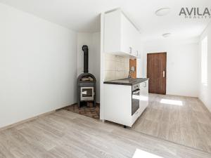 Prodej bytu 1+kk, Zvěstov - Roudný, 27 m2