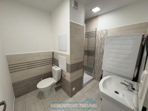 Pronájem bytu 1+1, Znojmo, Sokolovská, 42 m2