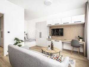 Pronájem bytu 1+kk, Praha, Pobřežní, 35 m2