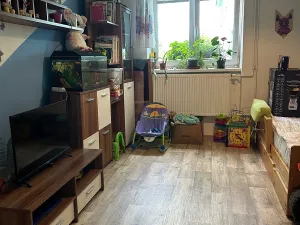Prodej bytu 3+1, Dubňany, Hornická, 75 m2