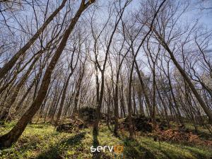 Prodej chaty, Ochoz u Brna, 50 m2